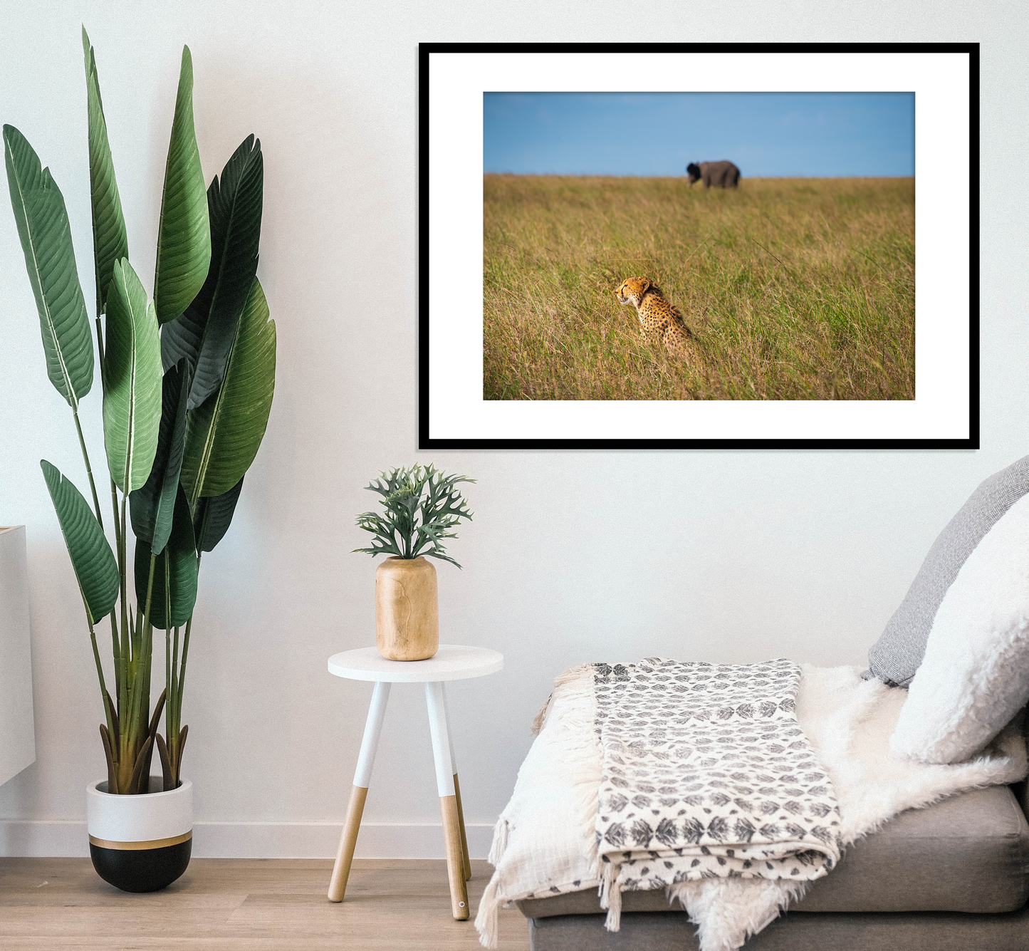 Cheetah in the Grass