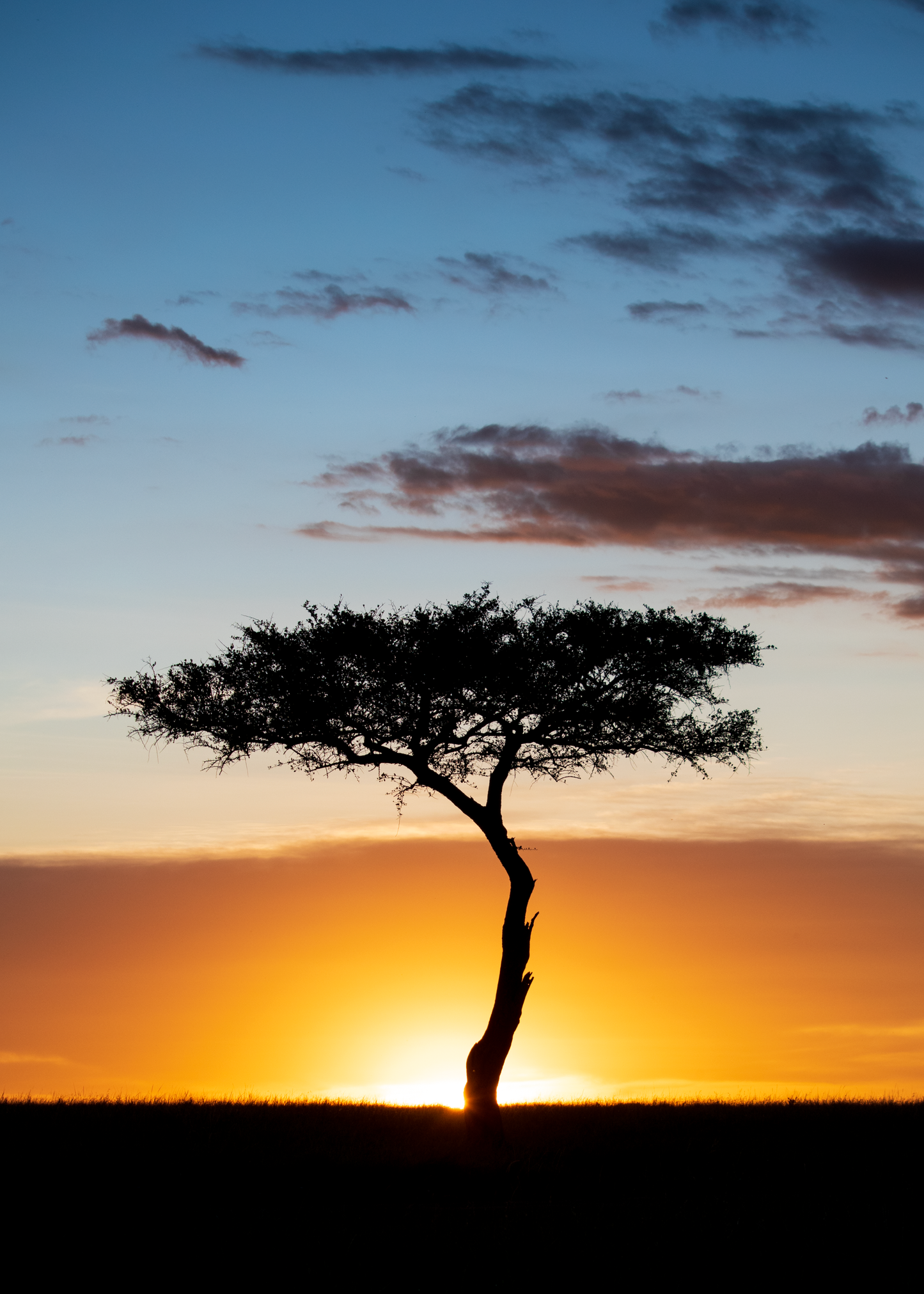Sunset Sky