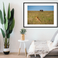 Cheetah in the Grass