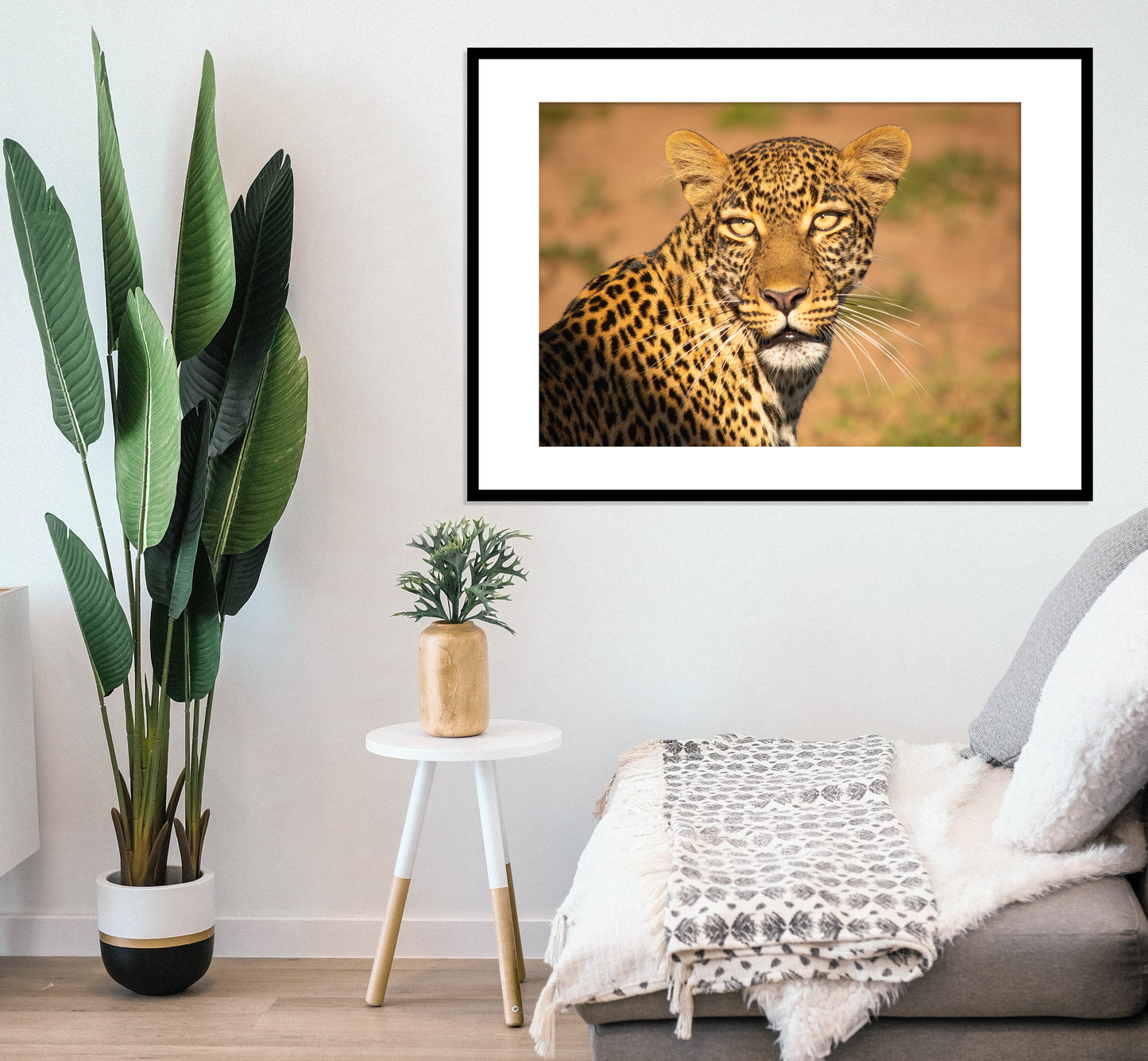 Portrait of a Leopard