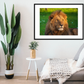 Portrait of a Lion