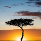 Sunset Sky